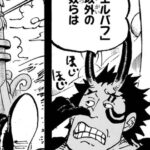 ワンピースのハラルドwww