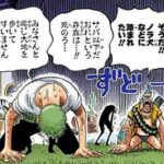 ワンピースの強さ議論というするだけ無駄な議論www