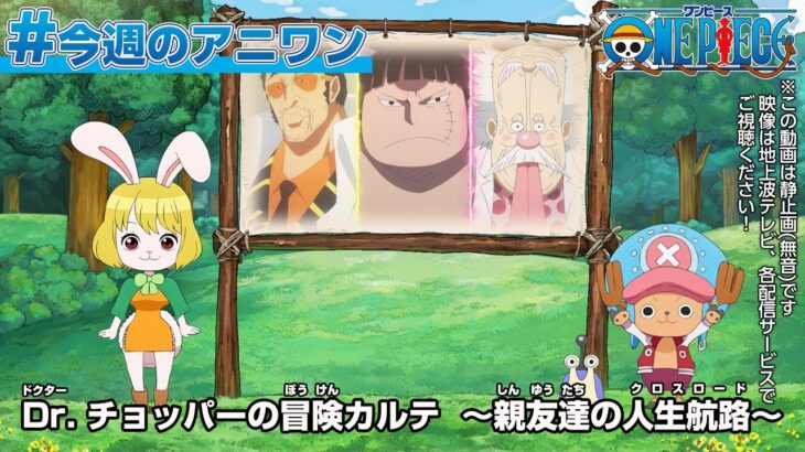 #今週のアニワン　「Dr. チョッパーの冒険カルテ　～親友達の人生航路(クロスロード)～」 ONE PIECE