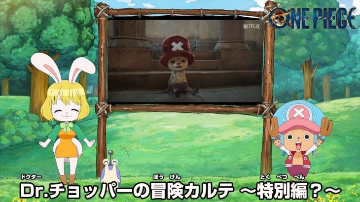 【特別版？】Dr.チョッパーの冒険カルテ -実写版おれ編-