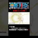 アニメ「#ONEPIECE」見放題配信への追加は木曜日‼️1131話‼️ #onepiece #原撮