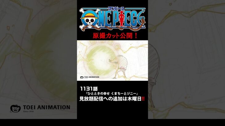 アニメ「#ONEPIECE」見放題配信への追加は木曜日‼️1131話‼️ #onepiece #原撮