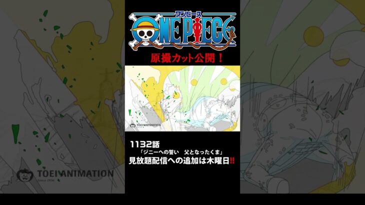 アニメ「#ONEPIECE」見放題配信への追加は木曜日‼️1132話‼️ #onepiece #原撮