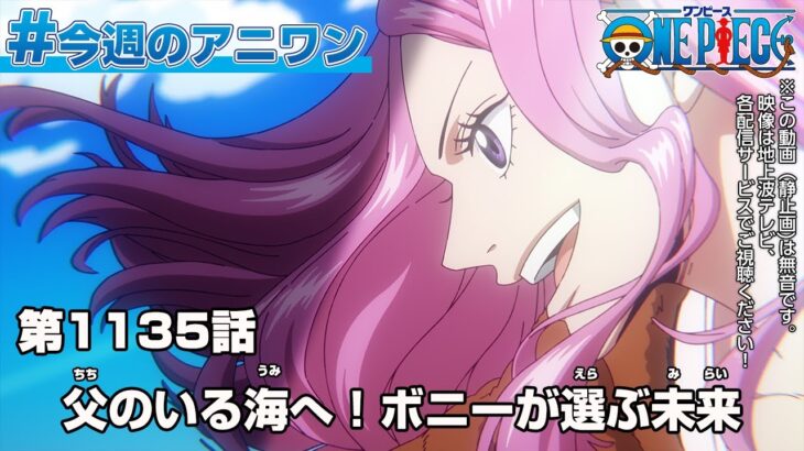 #今週のアニワン　「父のいる海へ！ボニーが選ぶ未来」 ONE PIECE 1135話