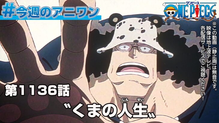 #今週のアニワン　「〝くまの人生〟」 ONE PIECE 1136話