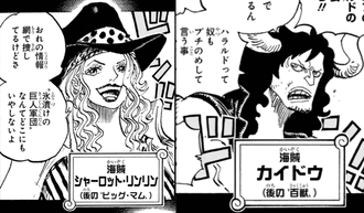 【ワンピース】リンリンカイドウいい…