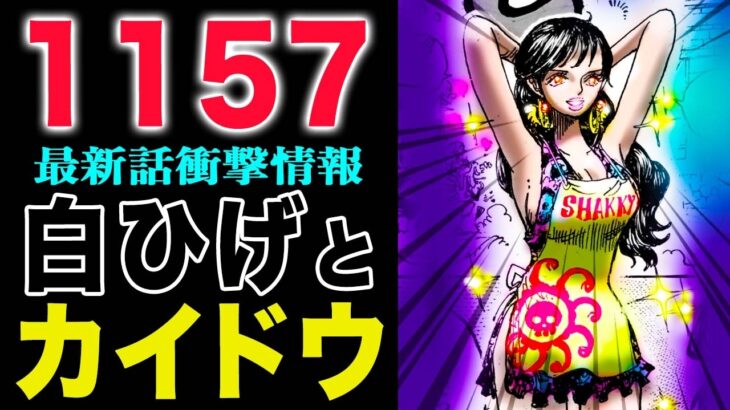 【ワンピース1157話初見の感想】英雄の正体がやばい！白ひげとカイドウ！ロックス海賊団は仲良し！(予想妄想)
