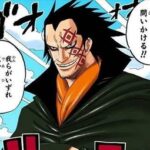【ワンピース】本当の英雄ドラゴン