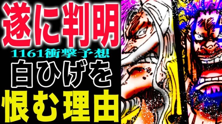 【ワンピース1161最新予想】黒ひげの怨念！白ひげと黒ひげの因縁！白ひげを恨んでいる？(予想妄想)