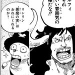 【ワンピース】何かあった未来