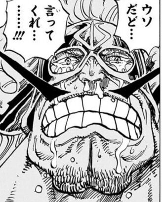 【ワンピース】クズ親ランキング最下位脱出