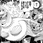 ワンピースで1番役立ったゲストキャラ