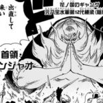 【ワンピース】若い頃のチンジャオやばかった？