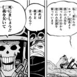 ワンピースのブルックwww