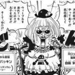 ワンピースのステューシーｗｗｗ