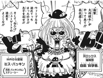 ワンピースのステューシーｗｗｗ