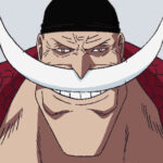 【ワンピース】白ひげ敗北者だった