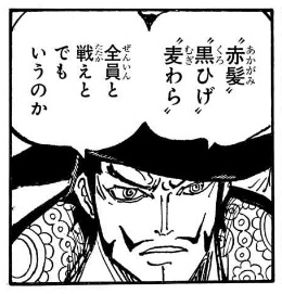 【ワンピース】ミホークならワンチャン勝てそう