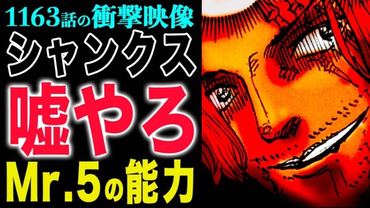 【ワンピース1163衝撃感想 】まさかの裏切り!まさかの入れ替わり!まさかの能力!(予想妄想)