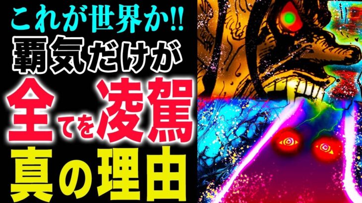 【ワンピース1163衝撃感想 】覇気だけが全てを凌駕する?なぜスリラーバークなのか?なぜ見えるのか?(予想妄想)