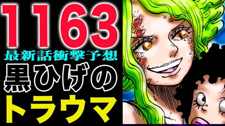 【ワンピース1163予想1162感想 】エリスの覚悟と運命！ルルシアで会おうよ！受け継がれる意志！(予想妄想)