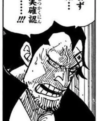 【ワンピース】革命軍も向いてないドラゴン