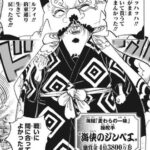 【ワンピース】なんで仲間にしたんだ…？