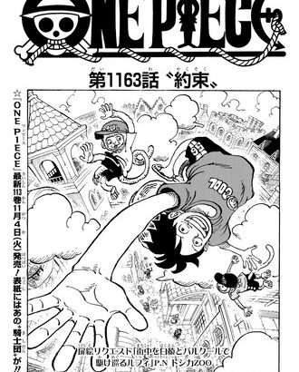 【ワンピース】1163話 感想…ボムボムのガンズイ