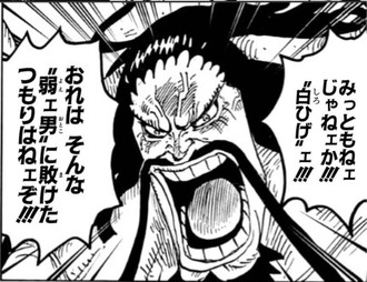 【ワンピース】もしカイドウが頂上決戦に来てたら