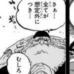 【ワンピース】(イム様うるさいな…)