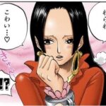 【ワンピース】言うほど絶世の美女か？