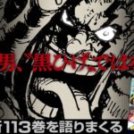 【ネタバレ注意】伝説の海賊登場！最新113巻を語ろう！【仲間がいるよTube!!!!】