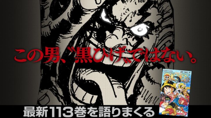 【ネタバレ注意】伝説の海賊登場！最新113巻を語ろう！【仲間がいるよTube!!!!】