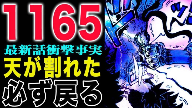 【ワンピース1165初見の感想 】天が割れた！必ず戻る！私も乗せてね！(予想妄想)