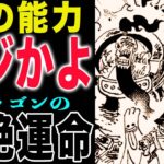 【ワンピース 1165感想】ドラゴンのその後！ドラゴンの覚悟！ホロホロの実の能力者！(予想妄想)