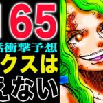 【ワンピース1165予想1164感想 】操りやすい王！おれが消える！死んでも守りたい！(予想妄想)