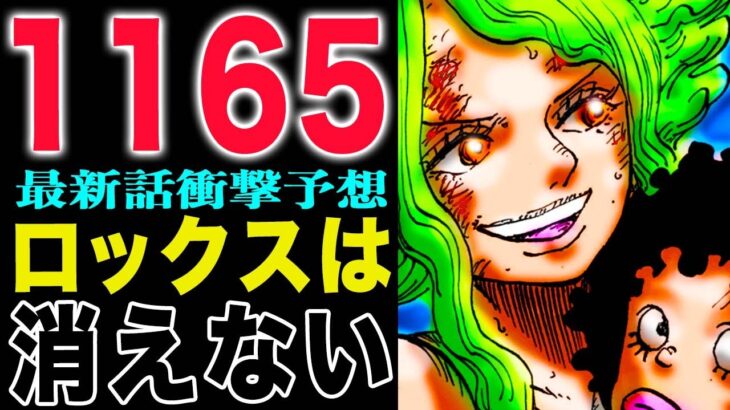 【ワンピース1165予想1164感想 】操りやすい王！おれが消える！死んでも守りたい！(予想妄想)