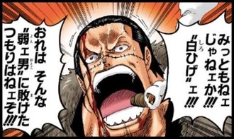 【ワンピース】戦争の時の白ひげマジで衰えすぎだろ