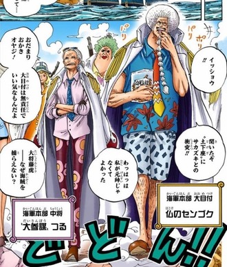 【ワンピース】崖の上から組織を変えようとしていたやつの姿か？