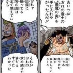 【ワンピース】ヤミヤミの実が見つかっちゃった