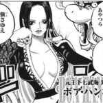 【ワンピース】今後どうなるか凄い気になる元七武海