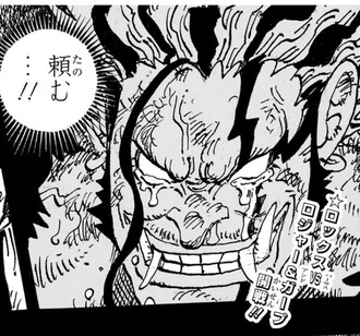 ワンピース最大の矛盾点