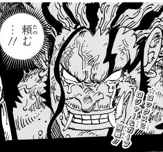 ワンピース最大の矛盾点