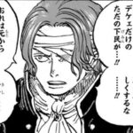 【ワンピース】シャンクス演技上手すぎだろ