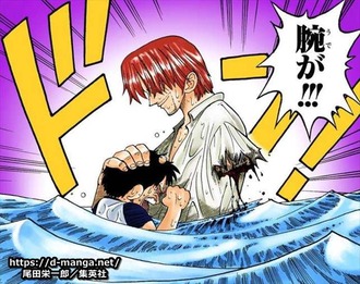 【ワンピース】シャンクス紋章消すために食わせたのほぼ確定