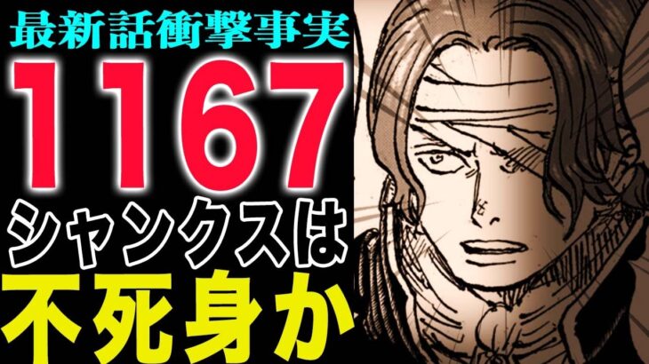 【ワンピース1167初見の感想 】事件後のハラルド！三段階の契約！ハラルドは不死身か？(予想妄想)