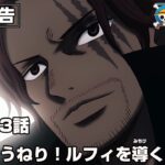 ONE PIECE 1153話予告「時代のうねり！ルフィを導く覇王色」