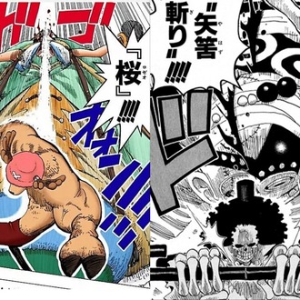 【ワンピース】たまにネーミングが良い