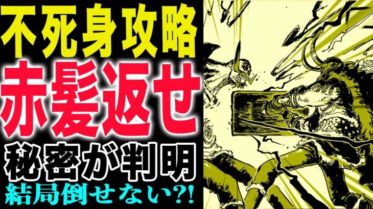 【ワンピース 1169話と1170話の感想】シャンクスとハラルド！覇王色の不死身攻略法判明！(予想妄想)