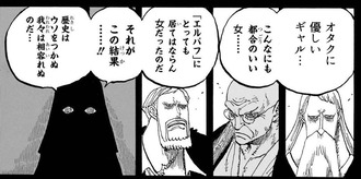 【ワンピース】あんな都合良すぎるのおかしいと思ってた